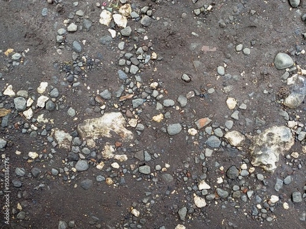 Fototapeta Dark Earthy Ground Texture with Scattered Pebbles