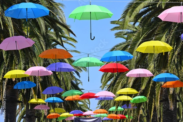 Fototapeta Colorful umbrellas suspended by wire between rows of palm trees.