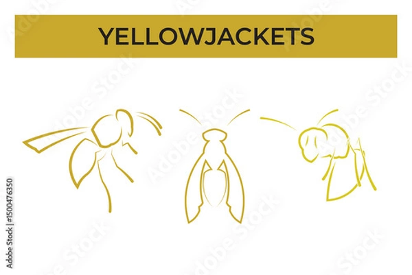 Fototapeta vector illustration of a set of a bee with outline style, yellow jacket logo vector