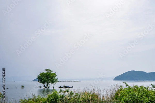 Obraz 滋賀県の北びわ湖