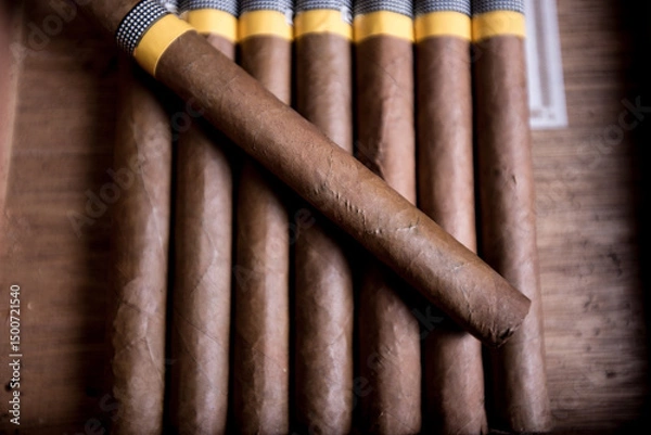 Obraz Cuban cigars close up and cigarette with smoke and concept of cigarettes 