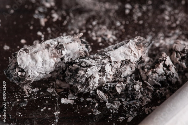 Obraz Burning cigarette with smoke and concept of cigarettes 