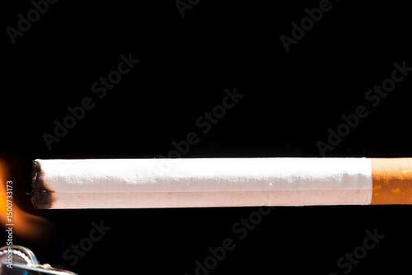 Obraz Burning cigarette with smoke and concept of cigarettes 
