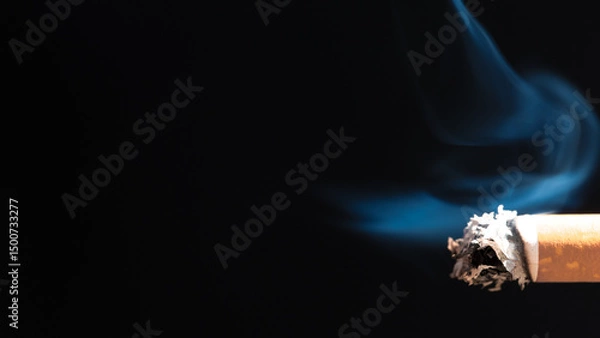 Obraz Burning cigarette with smoke and concept of cigarettes 