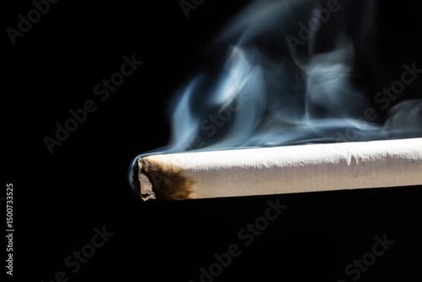 Obraz Burning cigarette with smoke and concept of cigarettes 