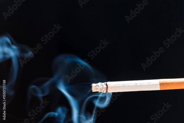Obraz Burning cigarette with smoke and concept of cigarettes 