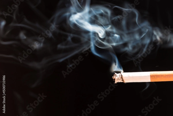 Obraz Burning cigarette with smoke and concept of cigarettes 
