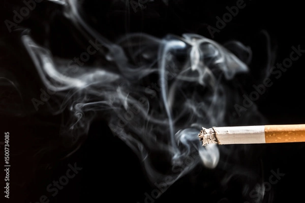 Obraz Burning cigarette with smoke and concept of cigarettes 