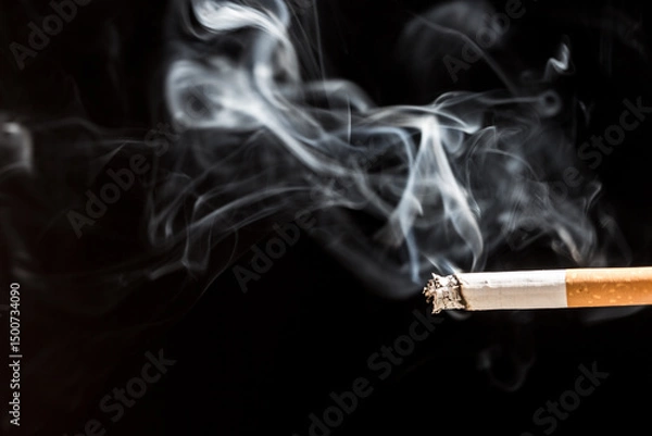 Obraz Burning cigarette with smoke and concept of cigarettes 