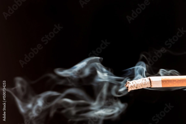 Obraz Burning cigarette with smoke and concept of cigarettes 