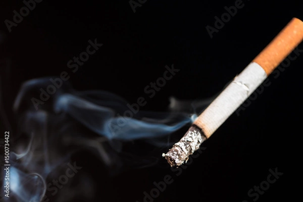 Obraz Burning cigarette with smoke and concept of cigarettes 