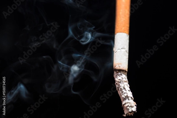 Obraz Burning cigarette with smoke and concept of cigarettes 