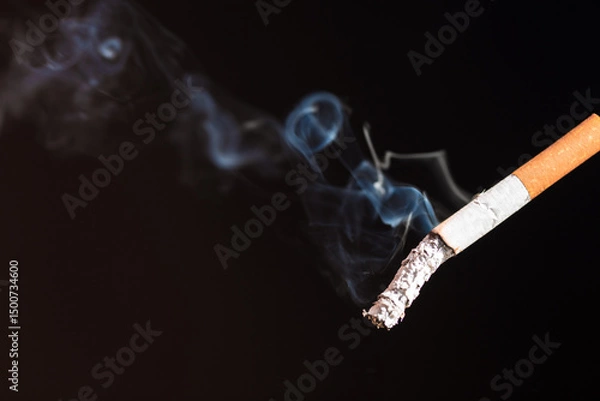 Obraz Burning cigarette with smoke and concept of cigarettes 