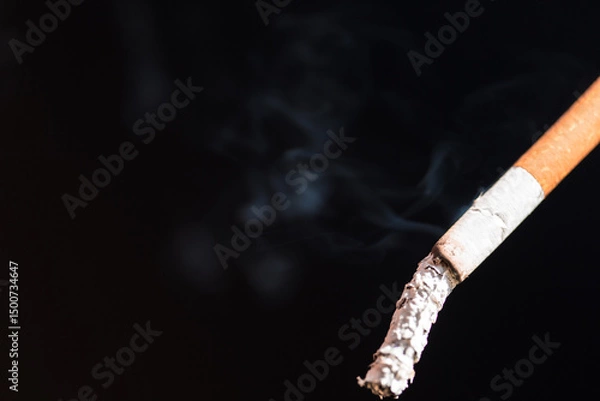 Obraz Burning cigarette with smoke and concept of cigarettes 