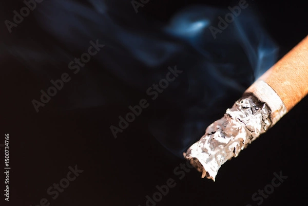 Obraz Burning cigarette with smoke and concept of cigarettes 