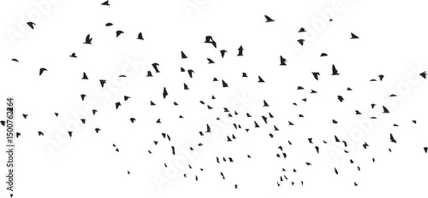 Fototapeta Minimalist Flock of Birds in Flight on White Sky Background