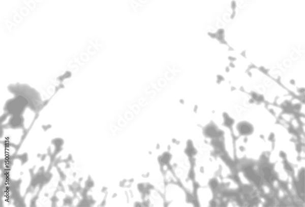 Fototapeta The shadow of the field grass on the white wall. A black and white image to overlay on a photo or mockup