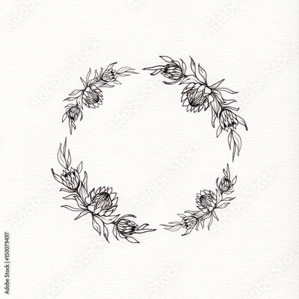 Fototapeta Protea flower wreath