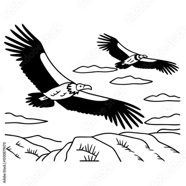 Obraz eagle in flight