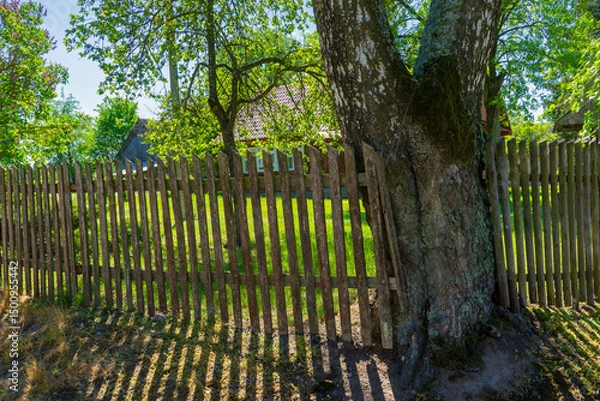 Obraz Piękno Krainy Górnej Narwi, Podlasie, Polska