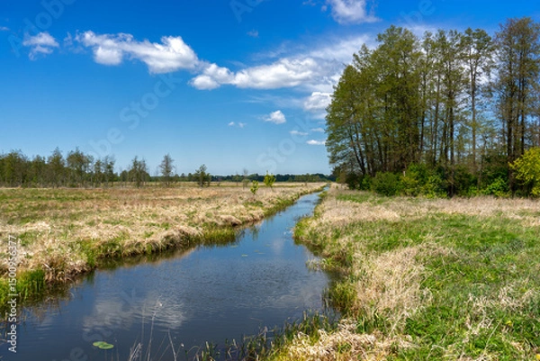 Obraz Piękno Krainy Górnej Narwi, Podlasie, Polska