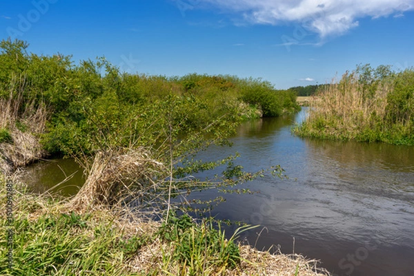 Obraz Piękno Krainy Górnej Narwi, Podlasie, Polska