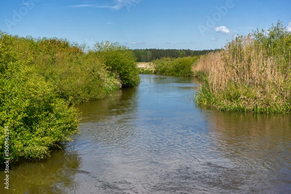 Obraz Piękno Krainy Górnej Narwi, Podlasie, Polska