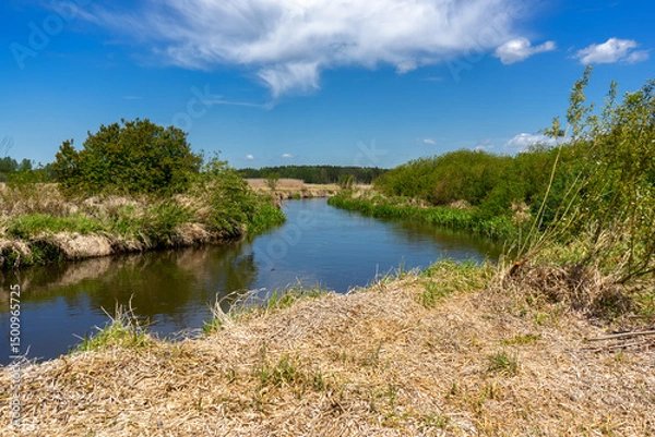 Obraz Piękno Krainy Górnej Narwi, Podlasie, Polska