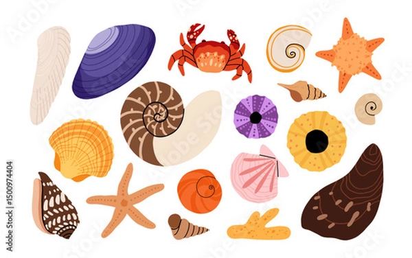 Fototapeta Seashells vector set. Collection of flat, cartoon modern flat icons of molluscs sea shells, starfish, sea urchin, crab, coral. Trendy coral reef under water collection isolated on white