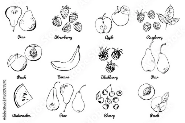 Fototapeta Vegetables fruits food icons set. Vector sketch in ink and watercolor. Apples, pears, grapes, peach