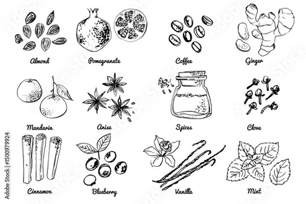 Fototapeta Vegetables fruits food icons set. Vector sketch in ink and watercolor. Spices and herbs, nuts. Almond, cafe, mint, vanilla