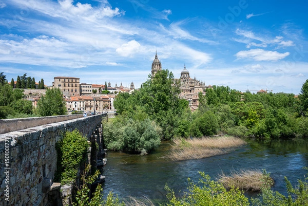 Obraz Puente Romano de Salamanca