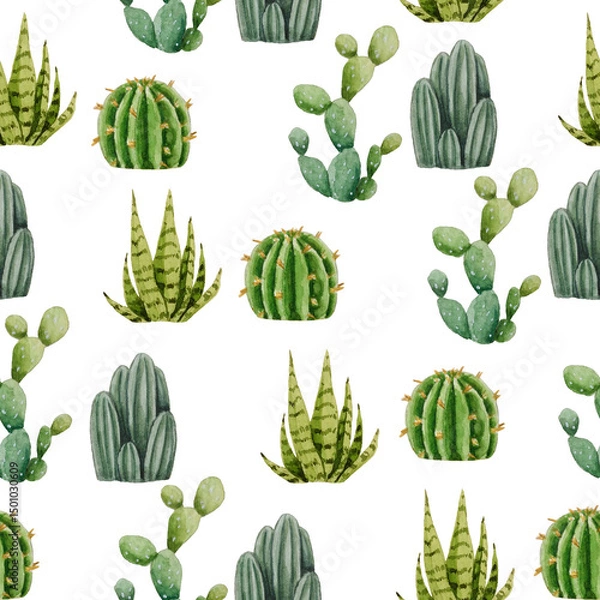 Fototapeta Watercolor seamless pattern of cacti. White background. For design, backgrounds