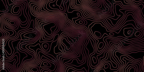 Obraz Abstract Topographic Contour Background. Modern Contour Pattern Background. Vector Map Lines. Topographic Flow map