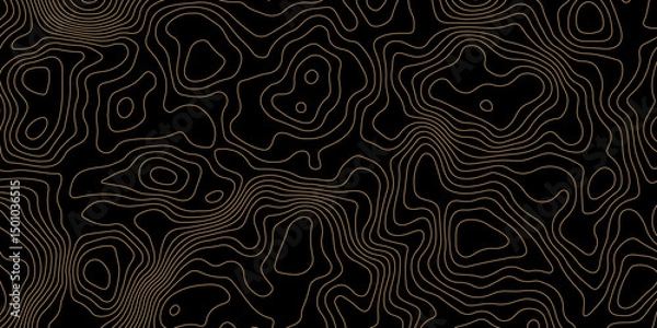 Obraz Abstract Topographic Contour Background. Modern Contour Pattern Background. Vector Map Lines. Topographic Flow map