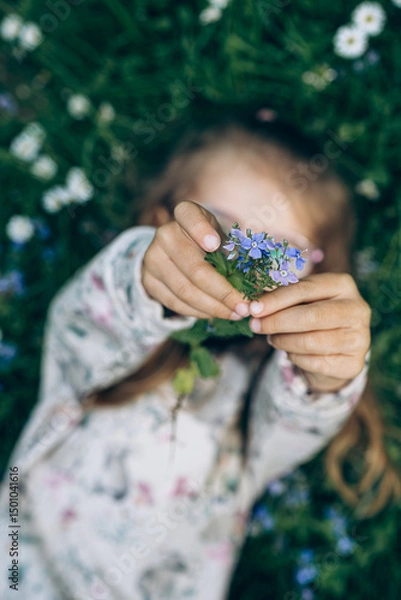 Obraz A girl holding the germander speedwellflower (Veronica chamaedrys) in her outstretched arms. Spring theme. Selective focus. Bokeh. Blurred background. 