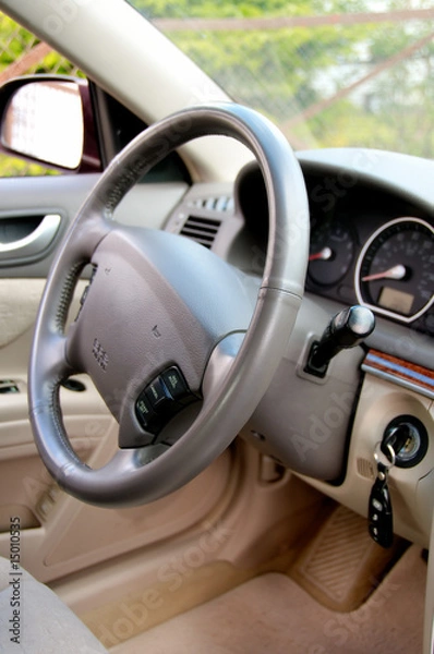 Obraz car interior
