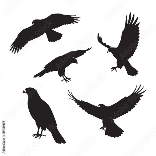 Fototapeta Silhouette set of hawk on white background
