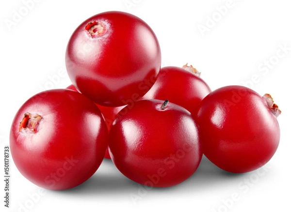 Obraz Cranberry isolated png. Cranberries on white or transparent background.. Cranberry berries heap with transparent shadow no background. Perfect retouched image. Full depth of field.