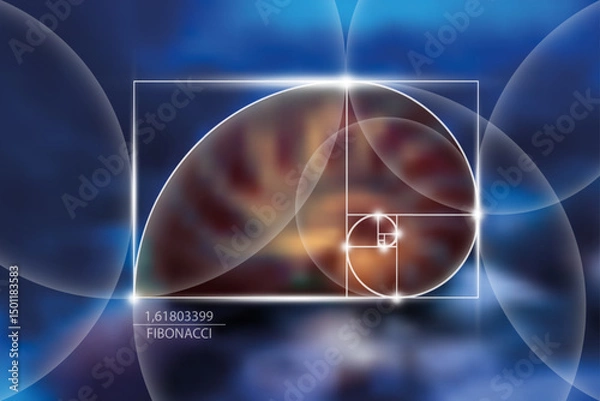 Obraz Fibonacci number sequence. Golden ratio. Geometric shapes spiral. Snail spiral. Nautilus Seashell. Sacred geometry template. Logarithmic sequences. Vector Blurred blue sea bottom background