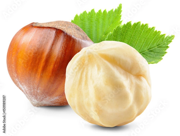 Fototapeta Hazelnut isolated png. Peeled and unpeeled hazelnut with leaf on transparent background. Perfect retouched two forest filbert nut no background. Transparent png. Full depth of field.