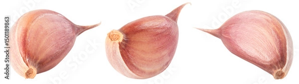 Obraz Garlic cloves png. Garlic clove on white or transparent background. Perfect retouched garlic no background collection. Top view. Transparent png. Full depth of field.