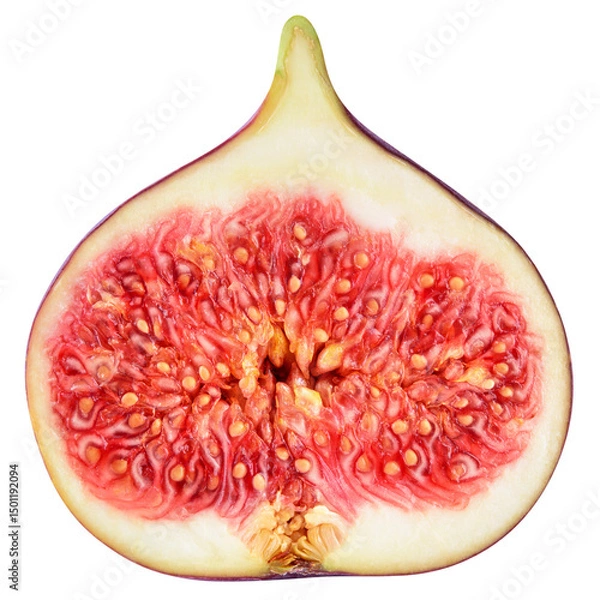 Obraz Fig isolated png. Fig half on transparent background. Fresh cut fig no background top view. Full depth of field. Transparent png.