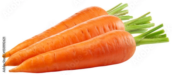 Obraz Carrot png. Carrot on white or transparent background. Perfect retouched three carrots no background. Transparent png. Full depth of field.