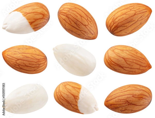 Obraz Almond isolated png. Almond nuts on white or transparent background. Perfect retouched almonds no background top view. Almond collection. Transparent png. Full depth of field.