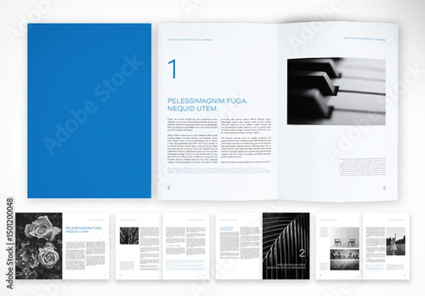 Obraz Corporate Report