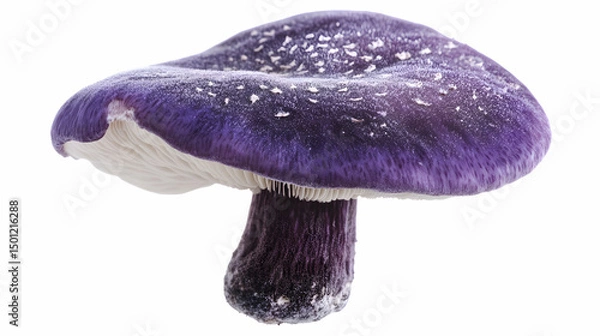Obraz A shiny, smooth mushroom with rich purple hues, fantasy-style.