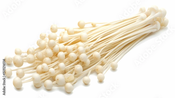 Obraz A clean bundle of white enoki mushrooms with long thin stems.
