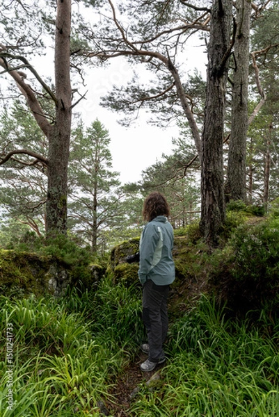 Fototapeta Young woman seen from behind exploring a lush Nordic forest, dressed in hiking gear and holding a camera, surrounded by mossy rocks, pines, and natural silence