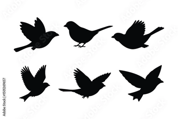 Fototapeta House sparrow silhouette vector bundle  illustration, House Sparrow Silhouette Vector Bundle  Black Bird Illustrations on White Background

